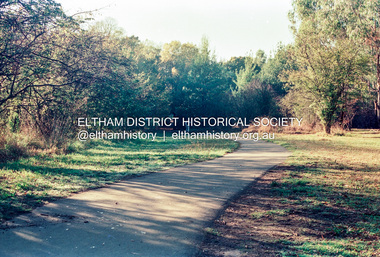 Photograph (Item) - Print, Mathew Wakefield, Untitled (Path through parklands), 1988