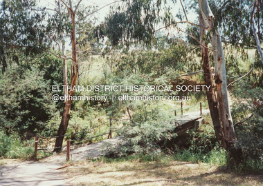 Photograph (Item) - Print, Sylvia Wiseman, Eltham Park, 1988