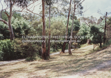 Photograph (Item) - Print, Sylvia Wiseman, Eltham Park, 1988
