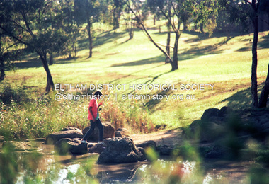 Photograph (Item) - Negative, Fred Mitchell, Eltham Town Park, 1988