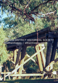Photograph (Item) - Negative, Fred Mitchell, Eltham Trestle Bridge, 1988