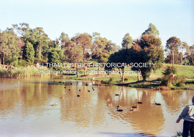 Photograph (Item) - Negative, Chris Gregory, Eltham Town Park, 1988