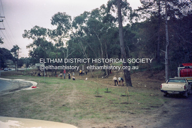 Photograph (Item) - Negative, Jocelyn Zepter-Trevor, Main Road at Research-Warrandyte Road,  Research, 1988