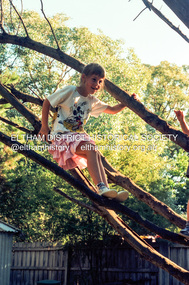 Photograph (Item) - Negative, Robyn Price, Lots Of Trees For Kids To Climb On In Eltham, 1988