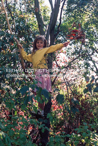 Photograph (Item) - Negative, Robyn Price, Lots Of Trees For Kids To Climb On In Eltham, 1988