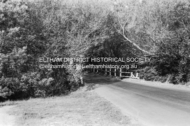 Photograph (Item) - Negative, Roy Johnson, Brougham Street Bridge, Eltham, 1988