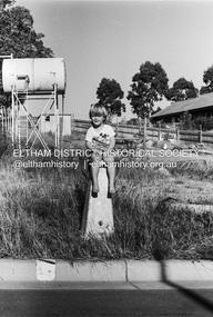 Photograph (Item) - Negative, S. Durtodi, Eltham Community Photographic Survey Entry, 1988