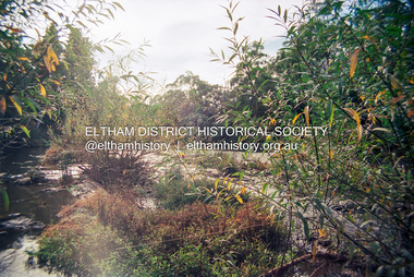 Photograph (Item) - Negative, Sean Brady, Yarra River, Eltham, 1988