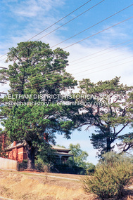 Photograph (Item) - Negative, Craig Price, Former Headmaster's Residence, Eltham Primary School, Dalton Street, Eltham, 1988