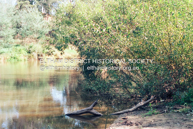 Photograph (Item) - Negative, Elizabeth Simkin, Yarra River, Eltham, 1988