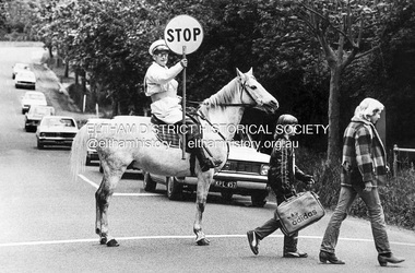 Photograph, Bill McAuley, School Crossing Supervisor, Jock Read on his horse Lofty supervising Eltham High School students crossing Main Road near Dalton Street, Eltham, 1979
