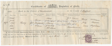Certificate - Certificate of Registry of Birth, Fanny Flinn, 1 June, 1858