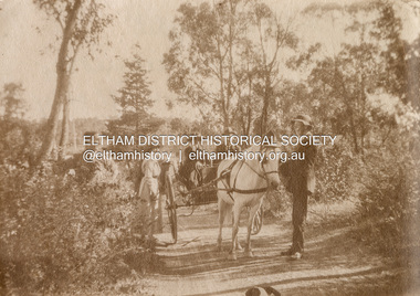 Photograph, Withers family members with horse and buggy, possibly Brougham Street, Eltham, c.1918