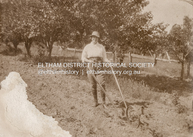 Photograph, Possibly Mary or Nancy Withers in the orchard at Southernwood, Eltham, c.1920