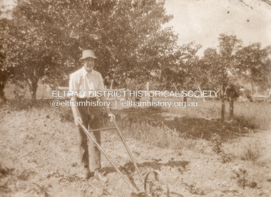 Photograph, Charles Withers in the orchard at Eltham, c.1920