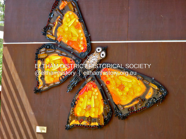 Photograph - Digital Photograph, Jim Connor, Eltham Copper Butterfly, 18 October 2015