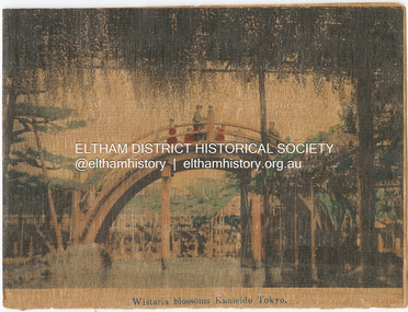 Card - Card and Envelope, Wisteria blossoms, Kameido, Tokyo, c.1920s