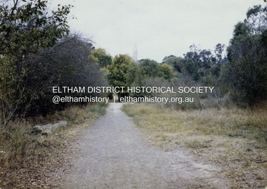 Colour Print, David Taylor, Dalton Street Lane, Eltham, c.1976