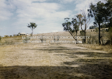 Colour Print, David Taylor, Maurie Fabbro's home viewed  from the rear of Eltham High School, c.1976