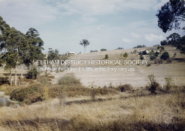 Colour Print, David Taylor, View from the rear Eltham High School looking south to Ely Street, Eltham, c.1976