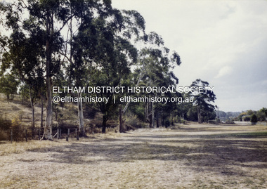 Colour Print, David Taylor, Western boundary, Eltham High School, c.1976