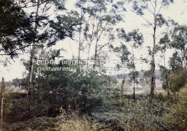 Colour Print, David Taylor, Eltham High School, c.1976