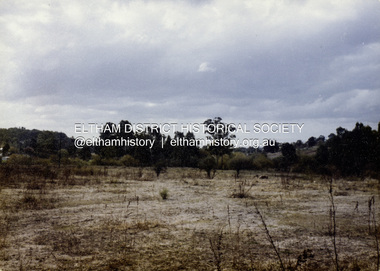 Colour Print, David Taylor, Believed to be near Skipper's property alongside the Dalton Street Lane, Eltham, c.1976