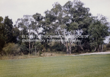 Colour Print, David Taylor, Possibly Susan Street oval, Eltham, c.1976