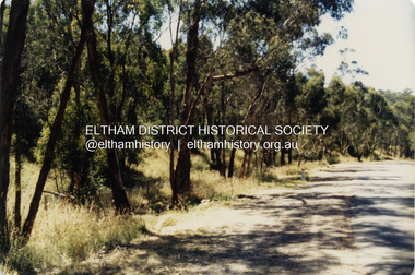 Photograph - Colour Print, Unidentified roadside, Eltham district, c.1985