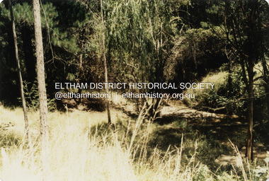 Photograph - Colour Print, Unidentified creek, possibly Diamond Creek, c.1985