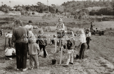 Photograph - Sepia Print, Primary school children planting trees at unidentified park, Eltham district, c.1989