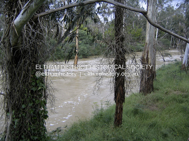 Photograph, Michael Wood, Diamond Creek in flood near Wattletree Road Bridge, Eltham, Nov. 2004