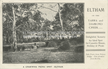 Postcard - Photograph postcard, A charming picnic spot - Eltham, 18 Feb. 1907