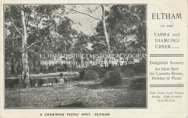 Postcard - Photograph postcard, A charming picnic spot - Eltham, 8 Jul. 1907