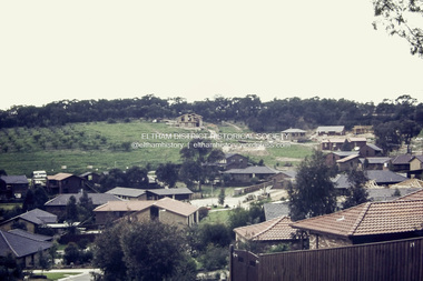 Photograph - Digital copy of colour print, Jan Wood, Stokes Orchard Estate, Eltham, 1979