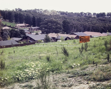 Photograph - Digital copy of colour print, Jan Wood, Stokes Orchard Estate, Eltham, 1979