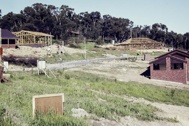 Photograph - Digital copy of colour print, Jan Wood, Stokes Orchard Estate, Eltham, 1979