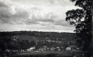 Photograph - Digital Copy, View looking southwest across Brougham Street from near Main Road, Eltham, c.1952