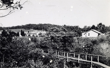 Photograph - Digital Copy, Footbridge over Diamond Creek, Eltham, c.1952