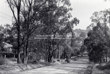Photograph - Digital Copy, Possibly Brougham Street, Eltham (looking west), c.1952