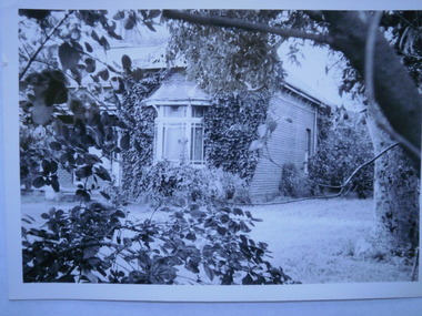 Photograph - Allison Road, 55, Elsternwick