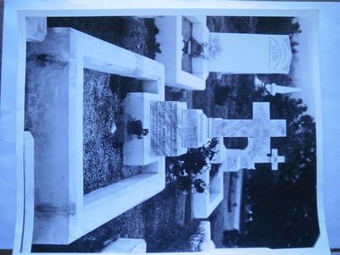Photograph - Cantala