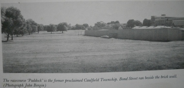 Racecourse paddock