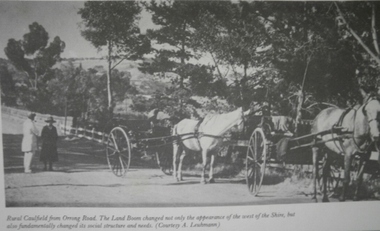 Caulfield Transport