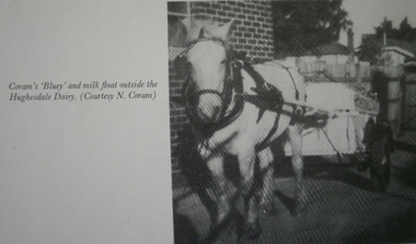 Caulfield Transport