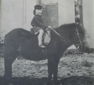Caulfield Transport