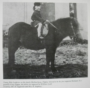Caulfield Transport