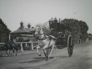 Caulfield Transport