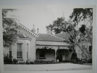 Photograph - NETTALIE