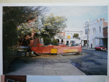 Photograph - Staniland Grove Elsternwick